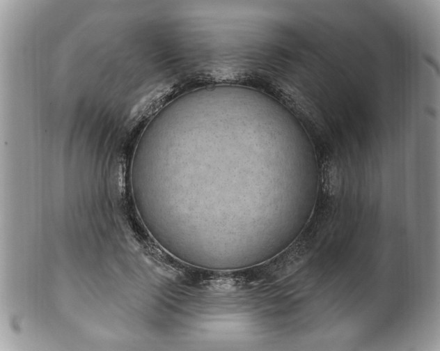 X0000101970740200807251210