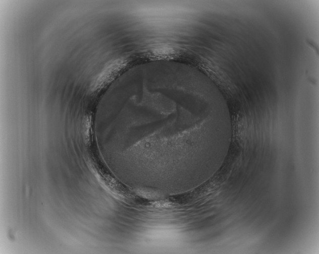 X0000101970742200807251210