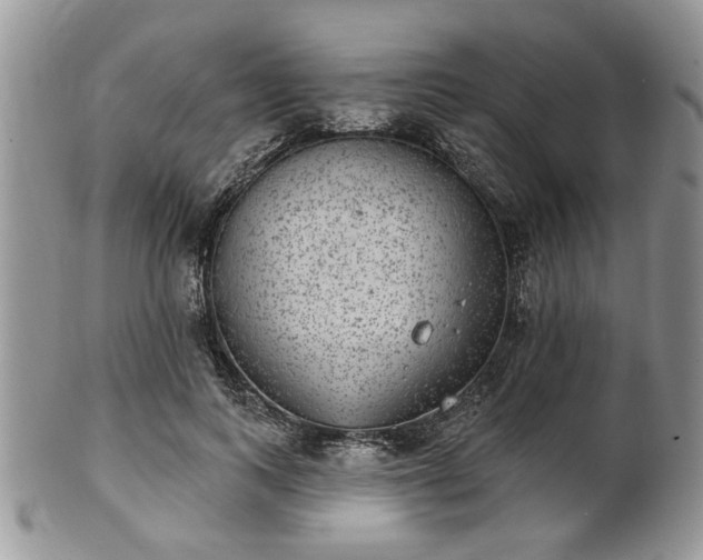 X0000101970743200807251211