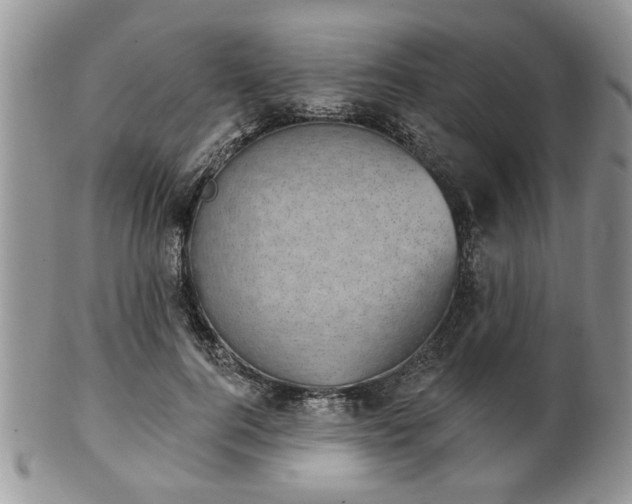 X0000101970744200807251211