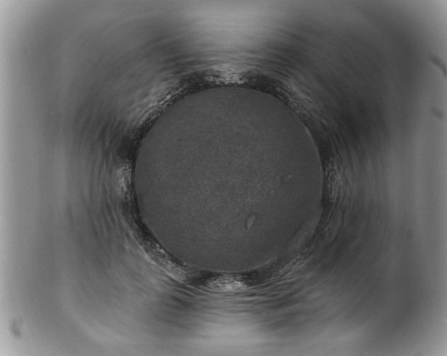 X0000101970747200807251211