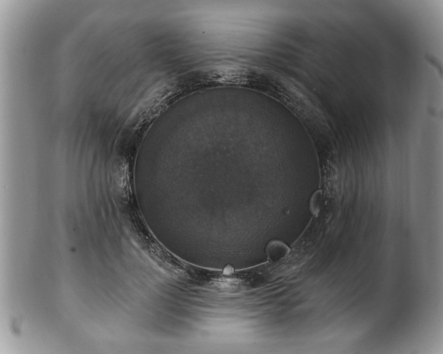 X0000101970748200807251211