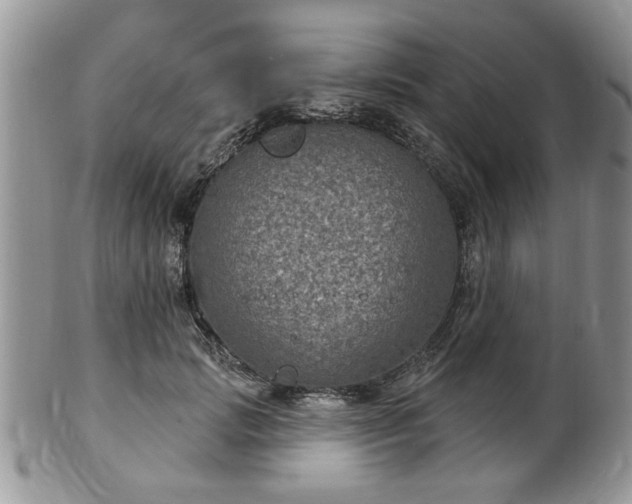 X0000101970749200807251211
