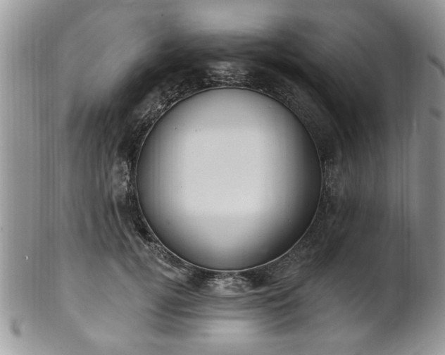 X0000101970752200807251211