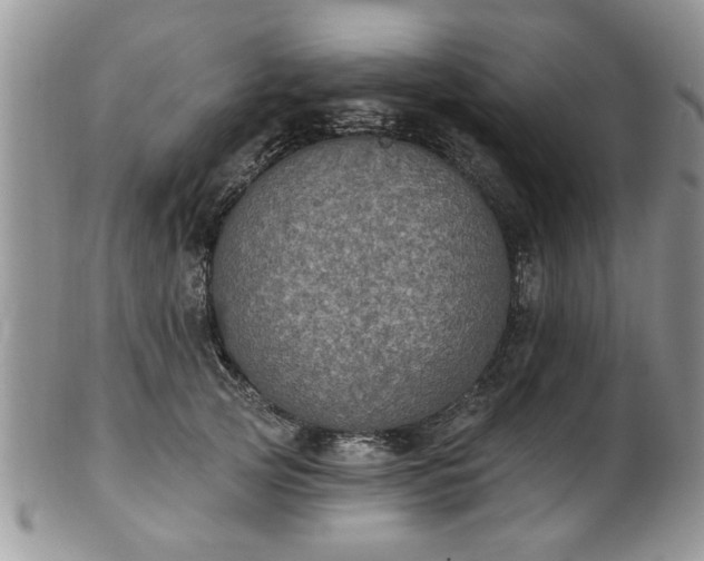 X0000101970753200807251211