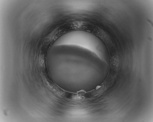 X0000101970754200807251211