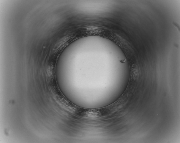 X0000101970756200807251211