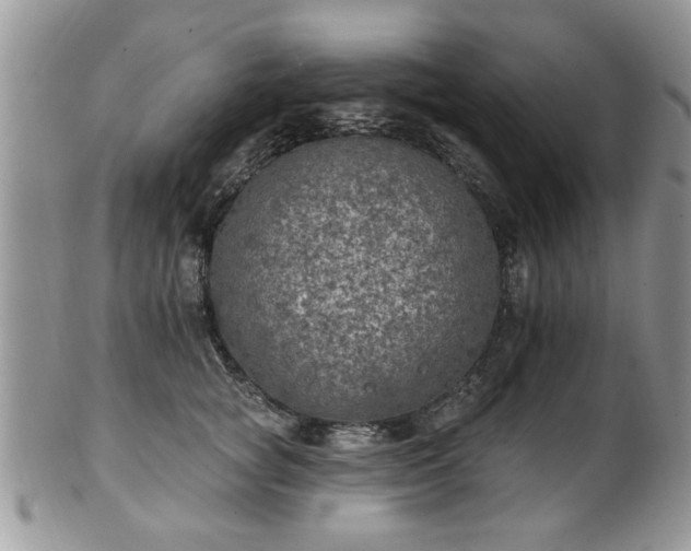 X0000101970757200807251211