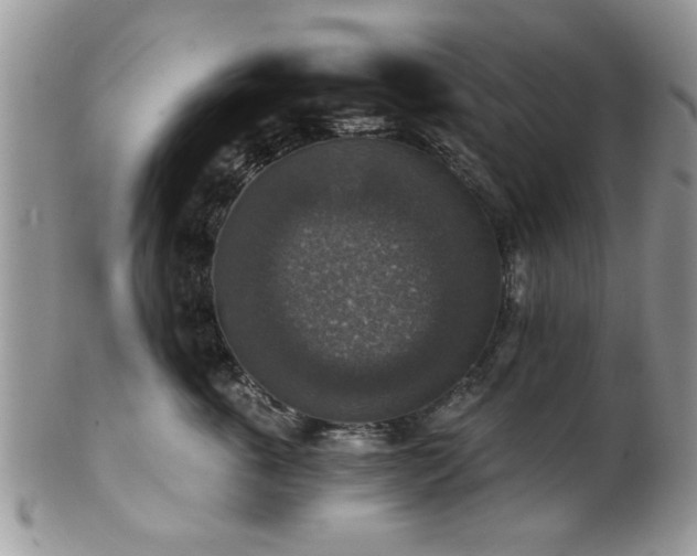 X0000101970763200807251211