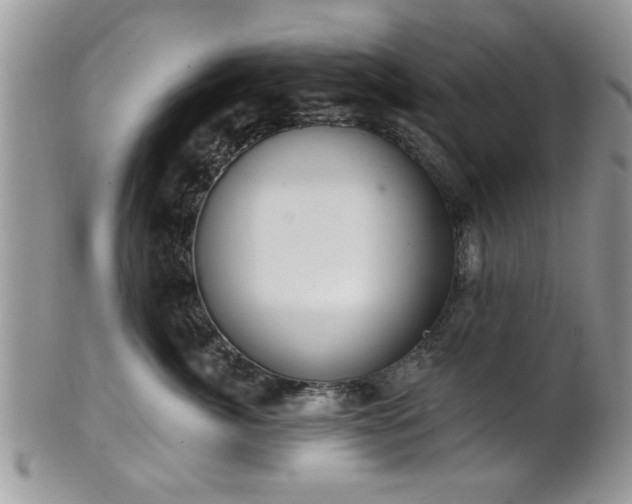 X0000101970764200807251211