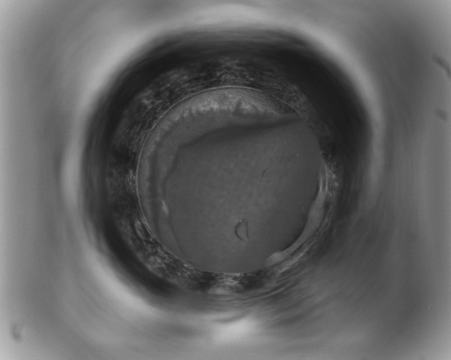 X0000101970765200807251211