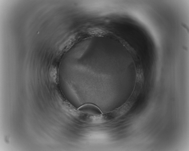 X0000101970767200807251211