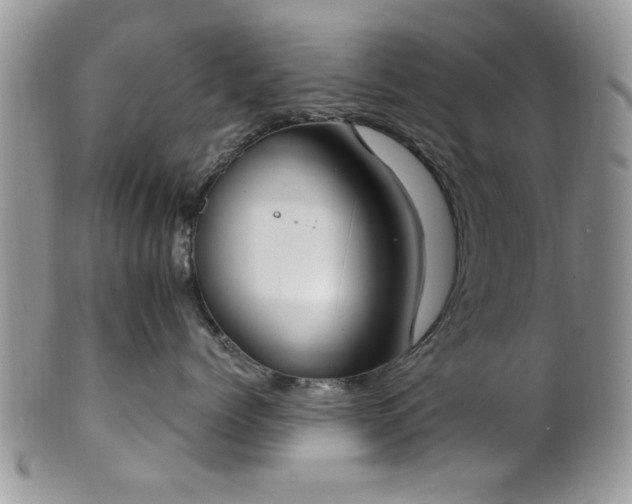 X0000101970768200807251211