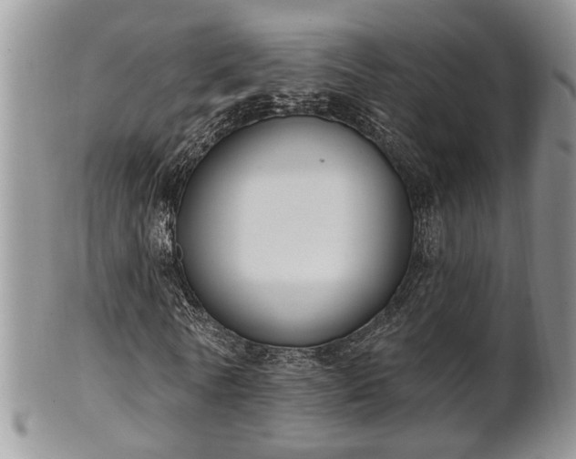 X0000101970770200807251210