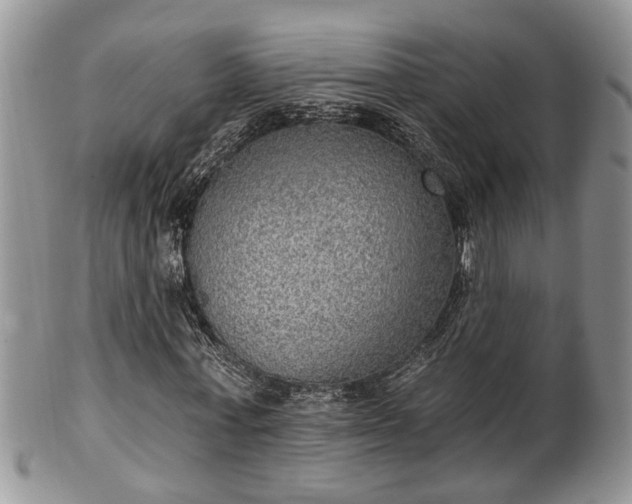 X0000101970771200807251210