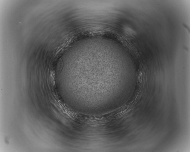 X0000101970772200807251210