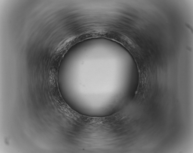 X0000101970773200807251210