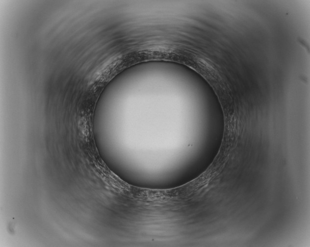 X0000101970774200807251210