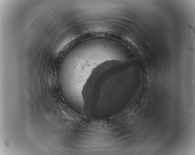 X0000101970775200807251210