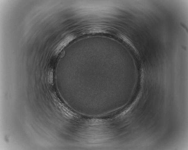X0000101970777200807251210