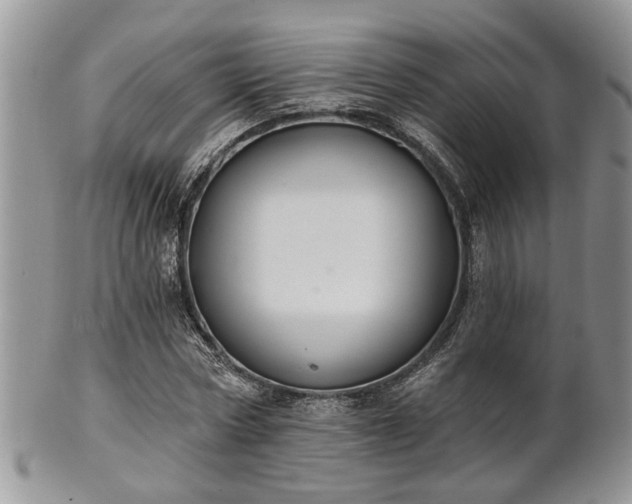 X0000101970778200807251210