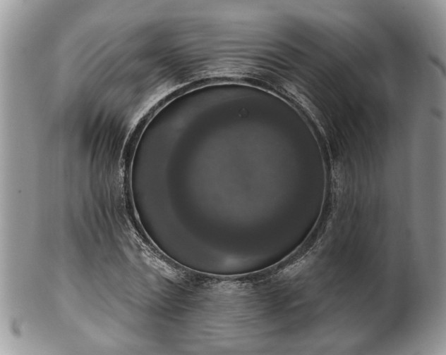 X0000101970779200807251210