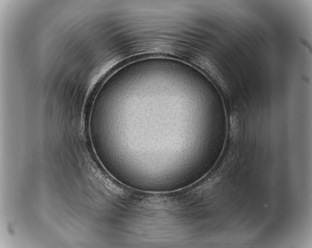 X0000101970780200807251210