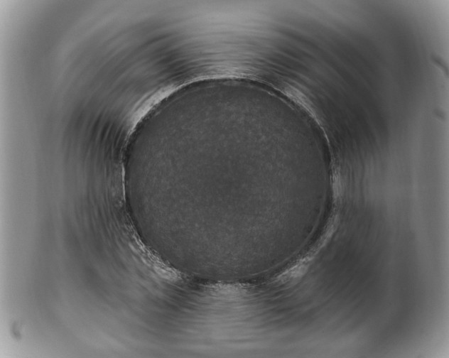 X0000101970781200807251210