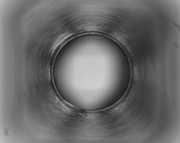 X0000101970782200807251210