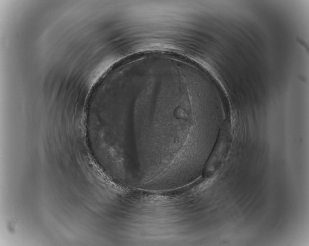 X0000101970783200807251210
