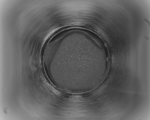 X0000101970784200807251210