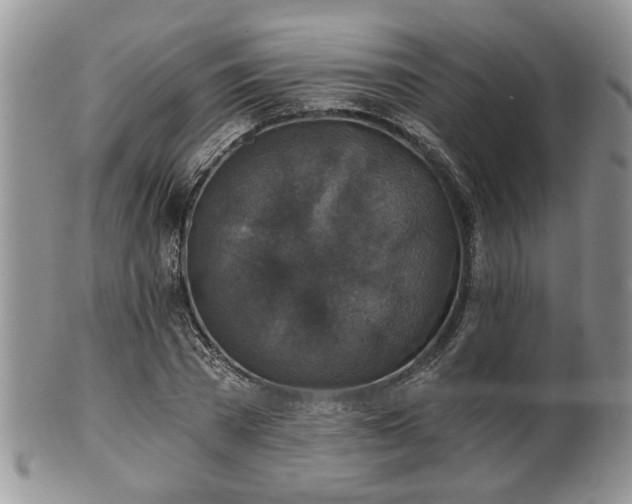 X0000101970785200807251210