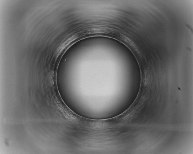 X0000101970786200807251210