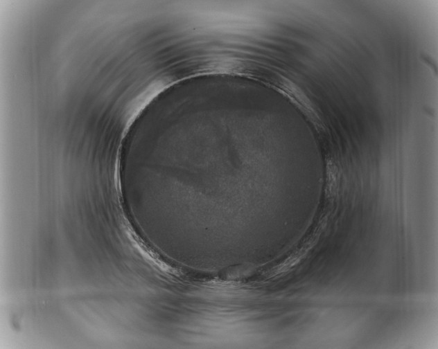 X0000101970788200807251210