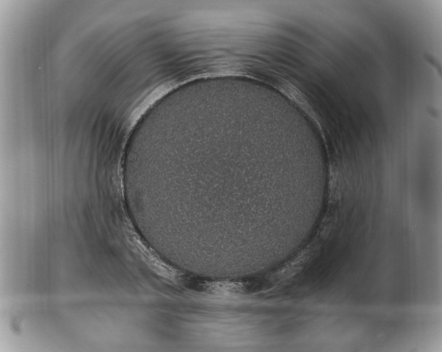 X0000101970789200807251210