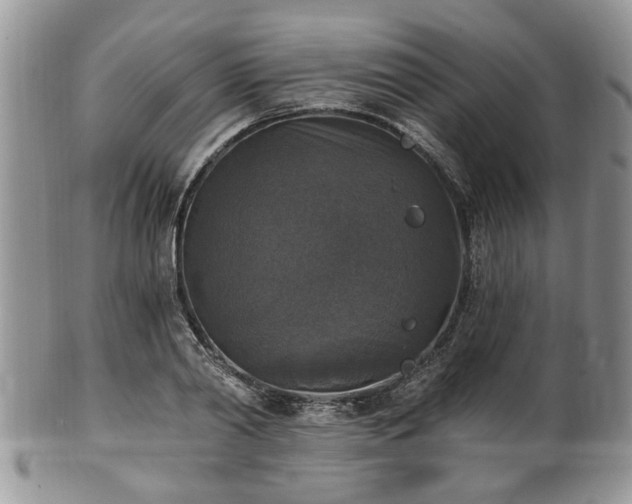 X0000101970790200807251210