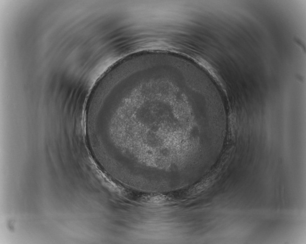 X0000101970791200807251210