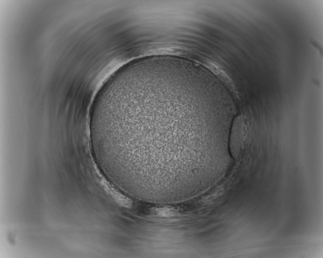 X0000101970792200807251210