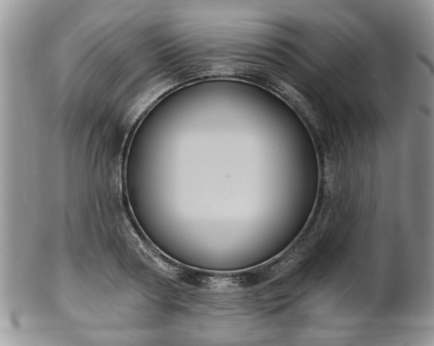 X0000101970794200807251210