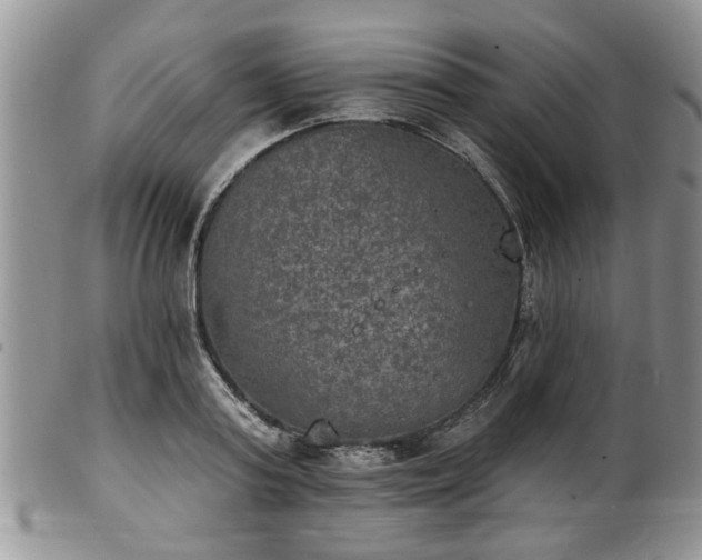 X0000101970795200807251210