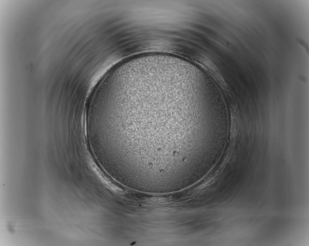 X0000101970796200807251210
