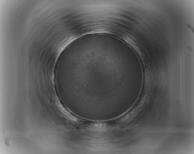 X0000101970797200807251210