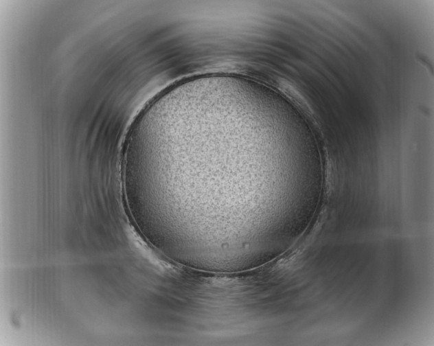 X0000101970800200807251210