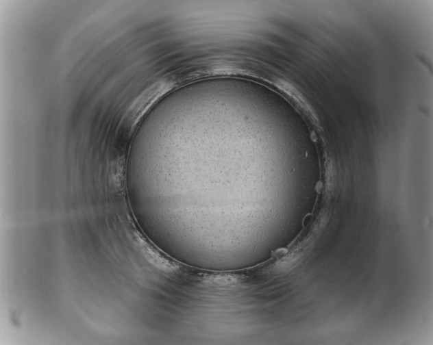 X0000101970801200807251210