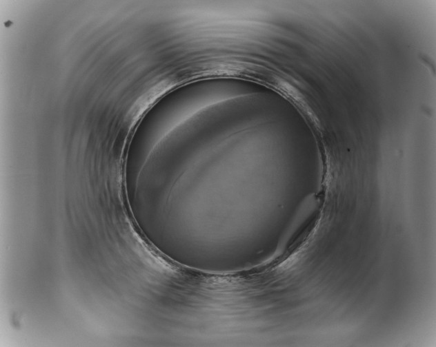 X0000101970802200807251210