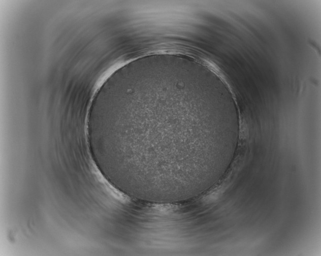 X0000101970803200807251210