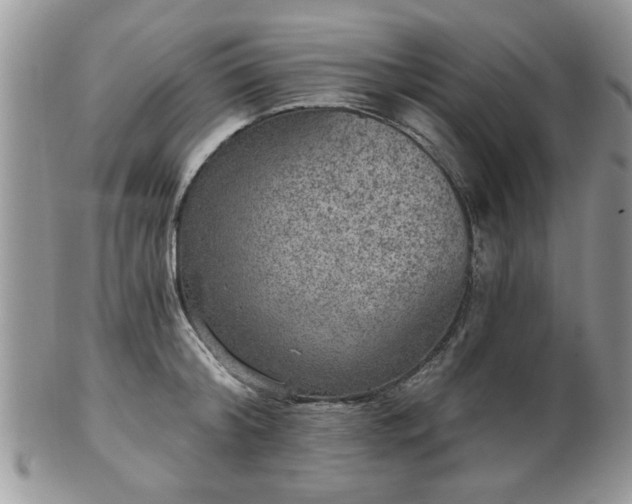 X0000101970804200807251210