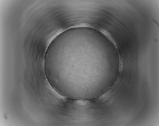 X0000101970805200807251210