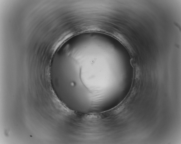 X0000101970806200807251210