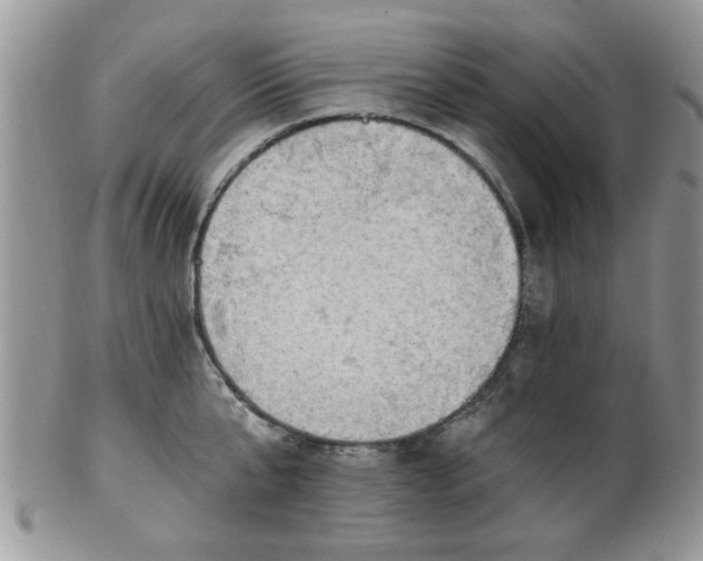 X0000101970807200807251210